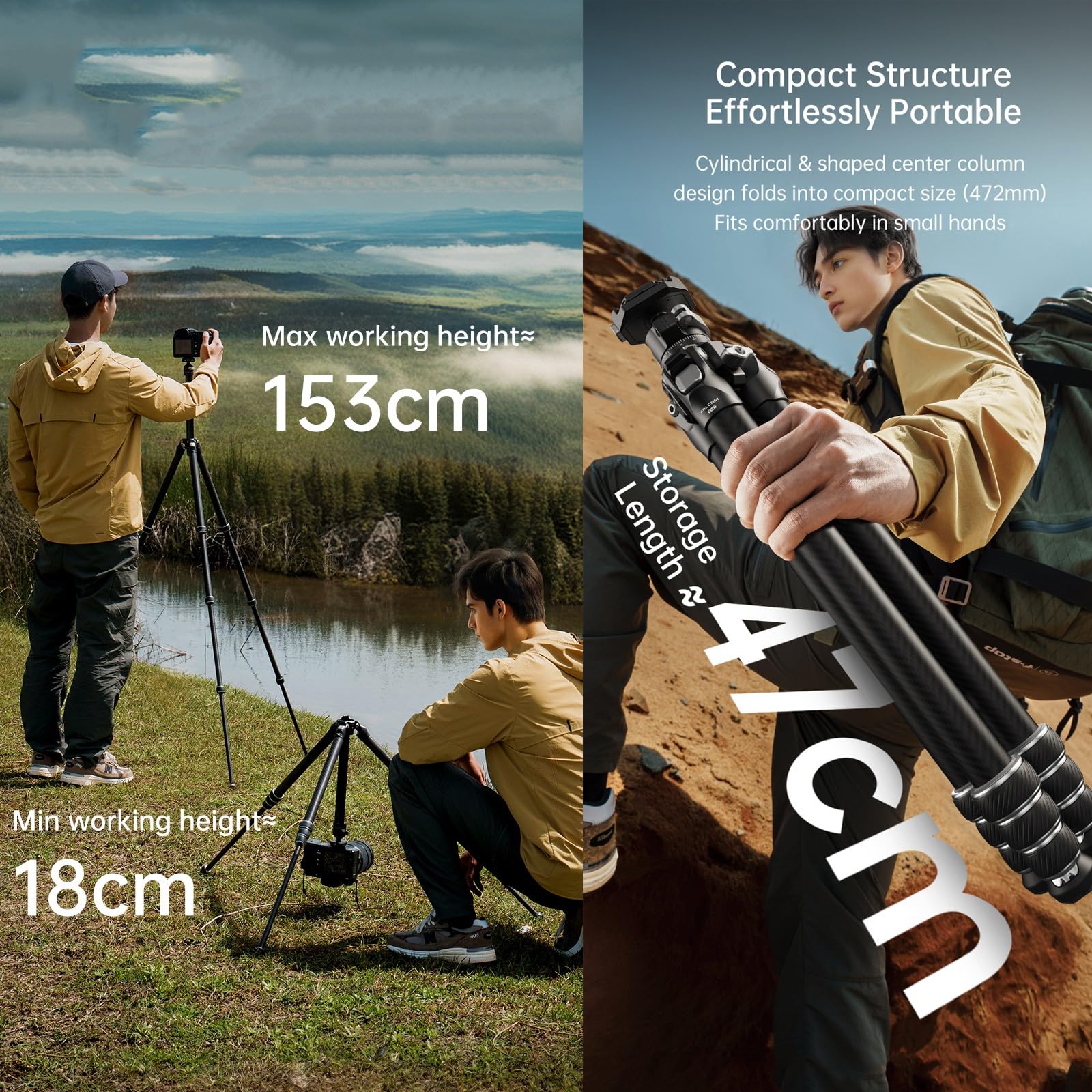 FALCAM TreeRoot Lite F38 Quick Lock Carbon Fiber Travel Tripod with Ball Head Load Capacity 3kg/6.6lbs, Max Vertical Payload 40Kg/88lbs for Cameras (C141K-301)