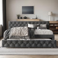 HOME DESIGN Darcey Velvet Upholstered Twin Daybed with Trundle, Tufted Guest Bed Frame, Modern Versatile Seating and Sleeping Solution – Dark Grey