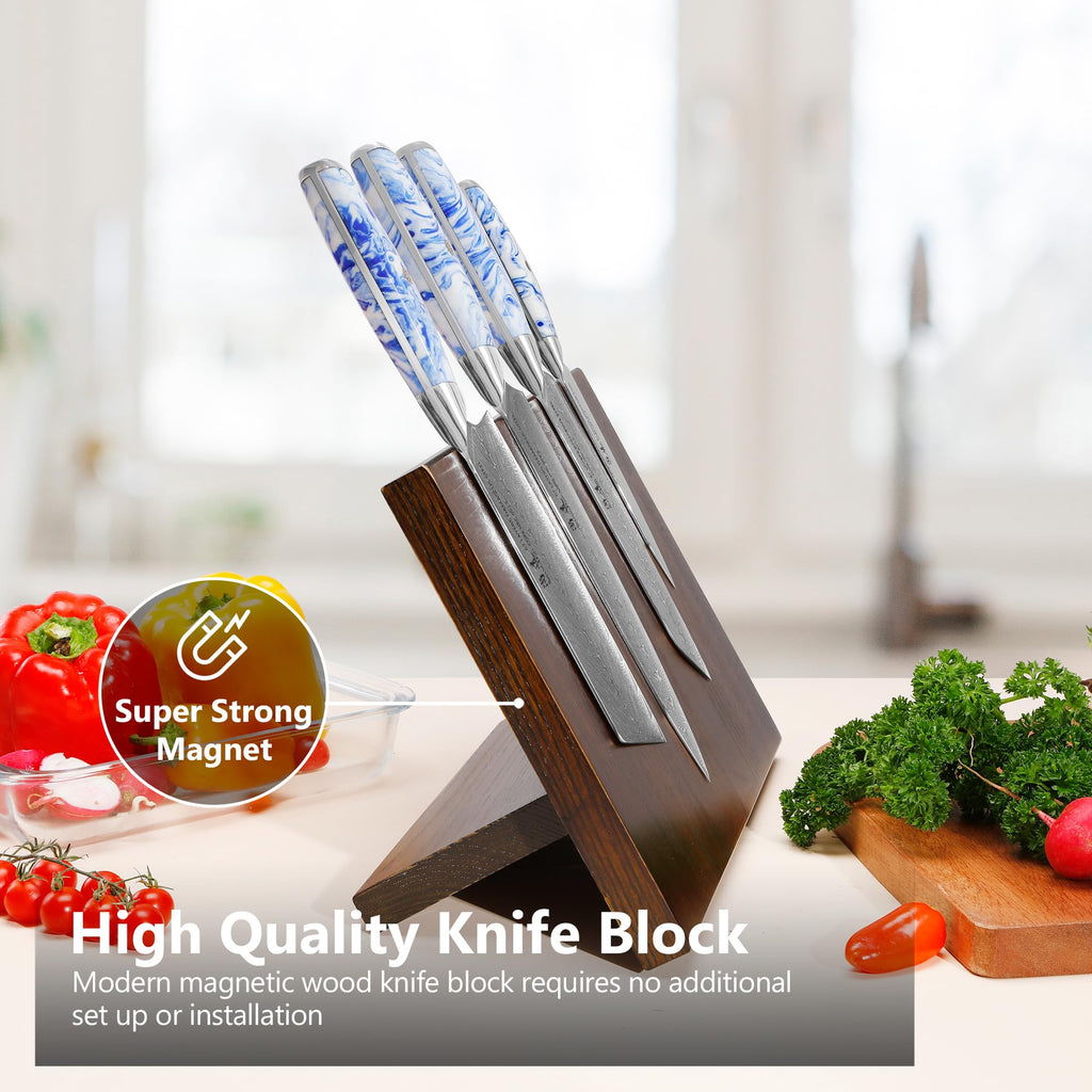 SHANGDAO Damascus Kitchen Knife Set with Magnetic Knife Block, 5 PCS Razor Sharp Kitchen Knives Made of Japanese Damascus Steelwith Block, Full Tang Ergonomic Resin Handle Chef Knife With Gift Box