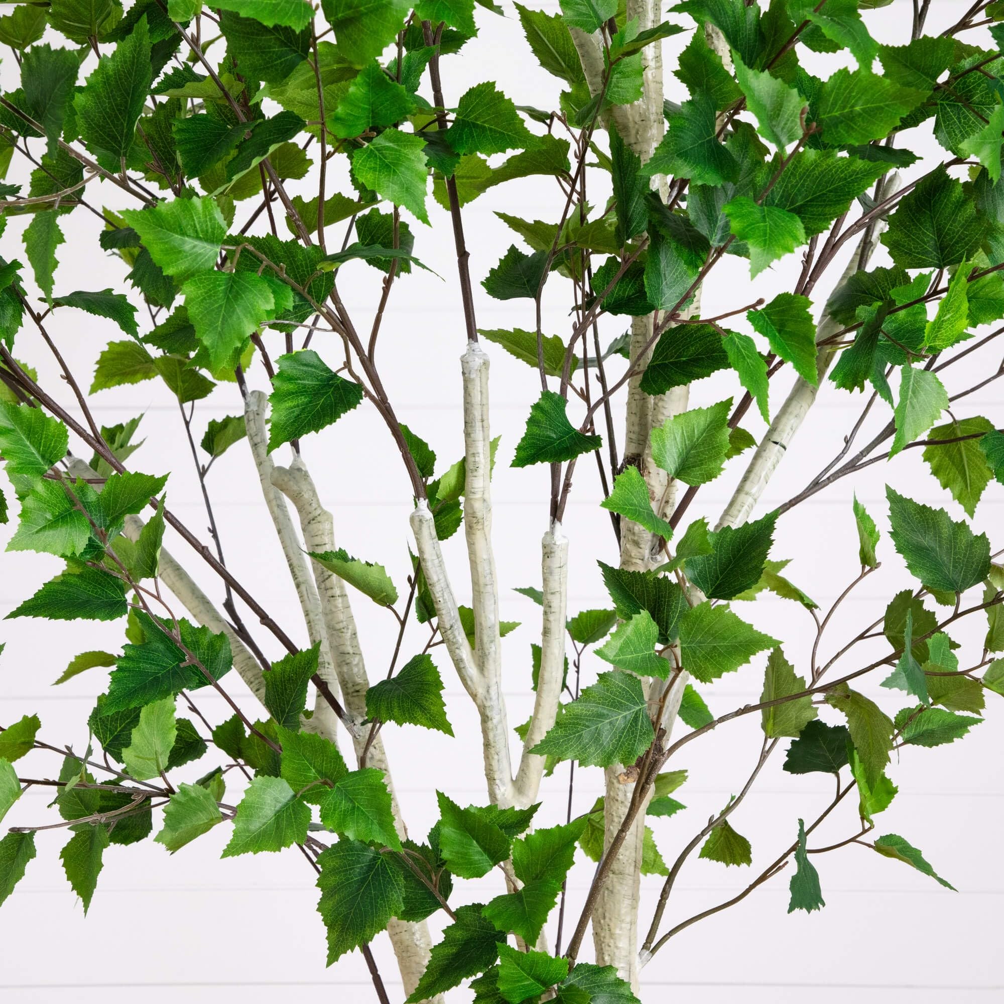 Nearly Natural 8ft Artificial Birch Tree with Real Touch Leaves - Indoor Fake Tree for Home Decor - Flexible Branches for Custom Look