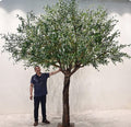 Faux Olive Tree with with Natural Trunk & Lifelike Fruits, Olive Trees Artificial Indoor, for Home Office Living Room Bedroom Holiday Decor(5FT)