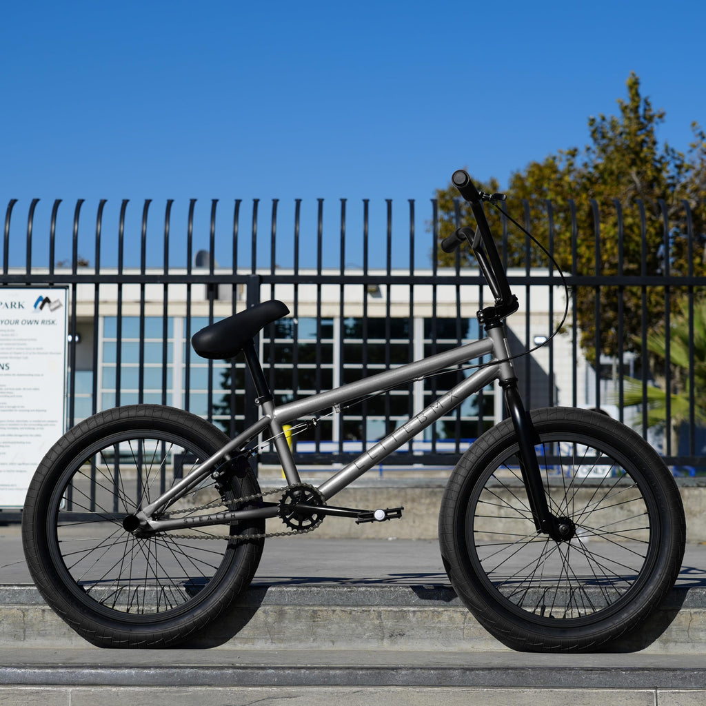 Elite BMX Freestyle Bike, Durable Steel Frame, Available in 16", 18", and 20" Sizes. New Sizes 26" and 29" BMX Bicycles. (Gunmetal, 20")