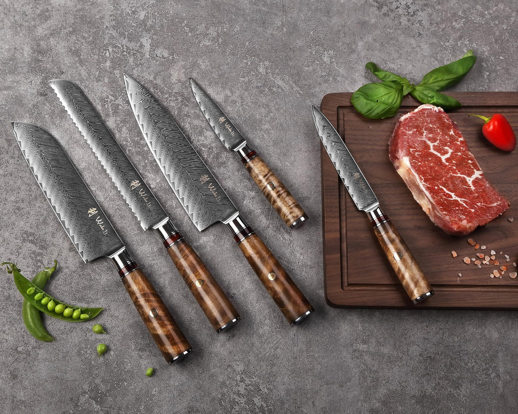 Wakoli Damascus Chef Knife Set with Magnetic Block – 5-Piece Professional Kitchen Knife Block Set, Genuine 67-Layer Damascus Steel Blades with VG10 Core & Ergonomic Sycamore Wood Handles