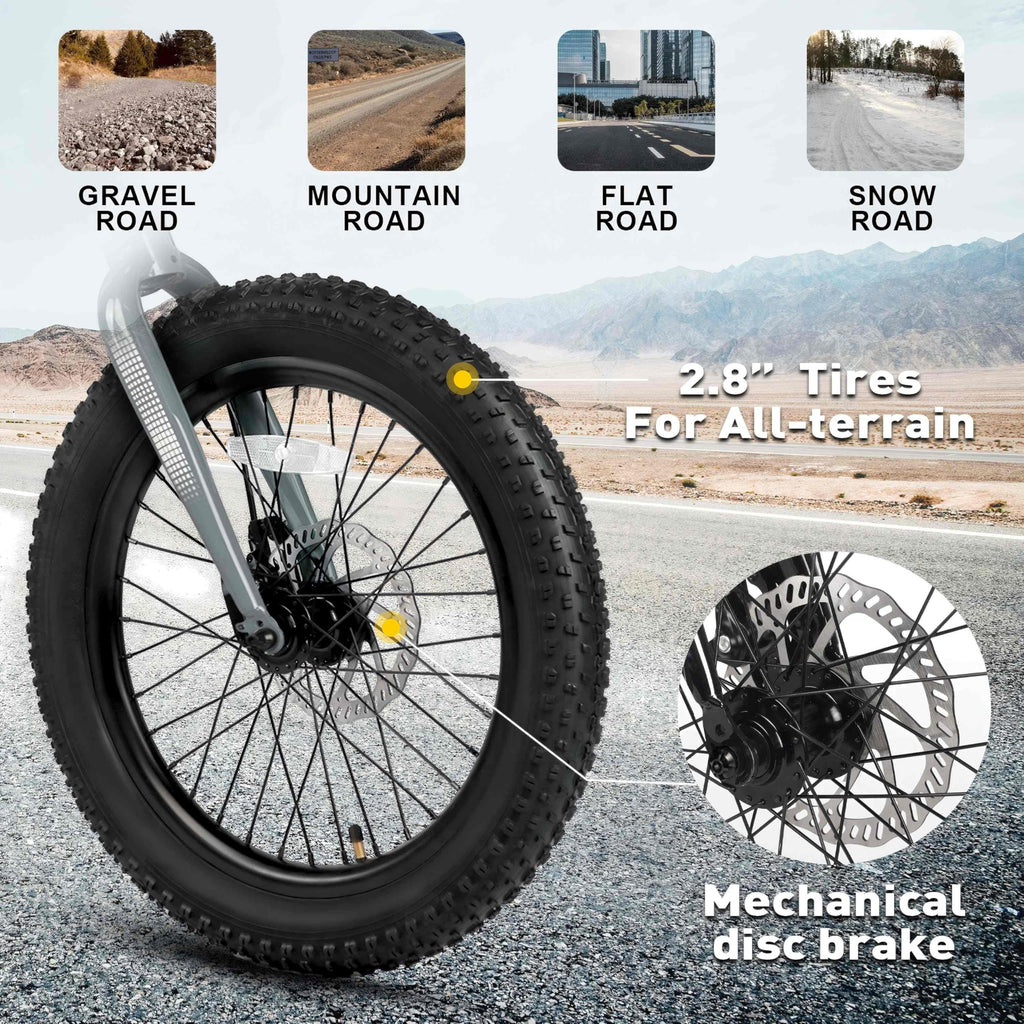 Glerc Mars Kids Mountain Bike, 20 Inch Fat Tire Bike for Teen Ages 6-12 Year Old, Bicycle with 2.8-Inch Wide Tires and 6 Speed Drivetrain, Gray